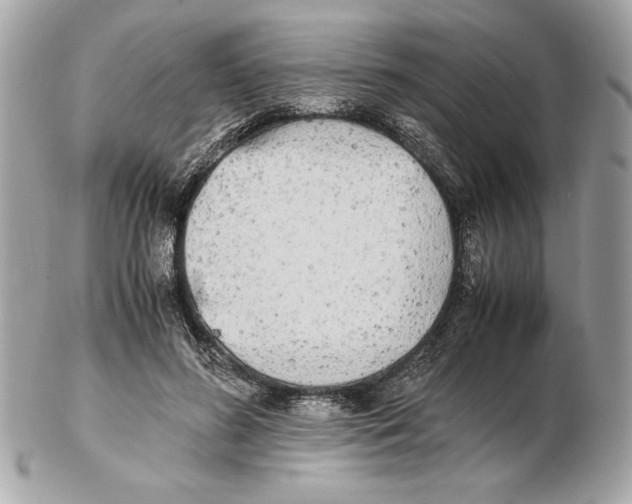 X0000102470596200808291606