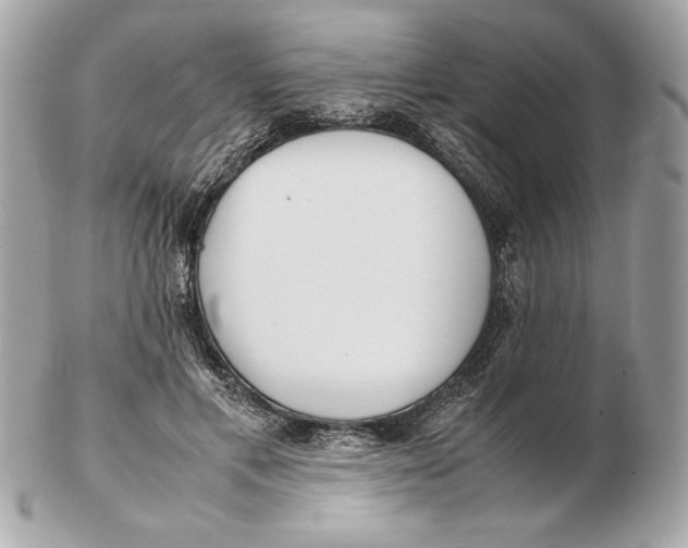 X0000102470597200808291606