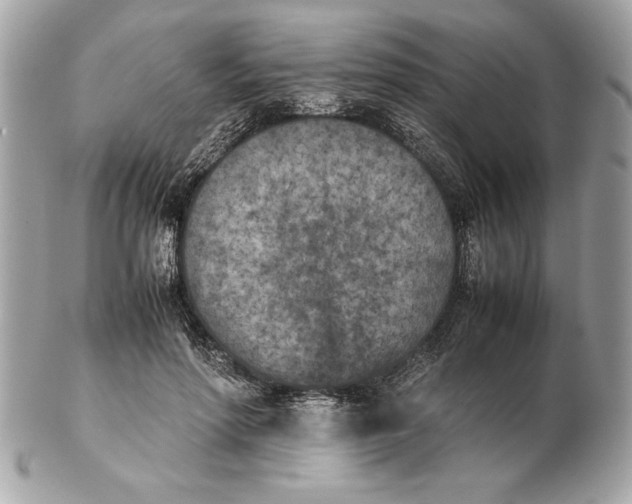 X0000102470598200808291606