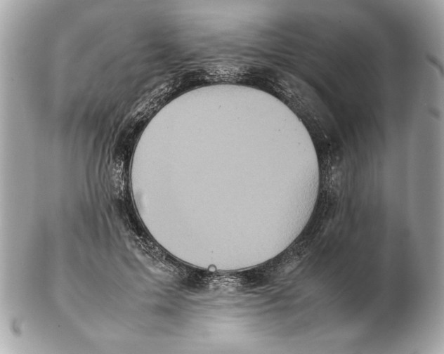 X0000102470599200808291606