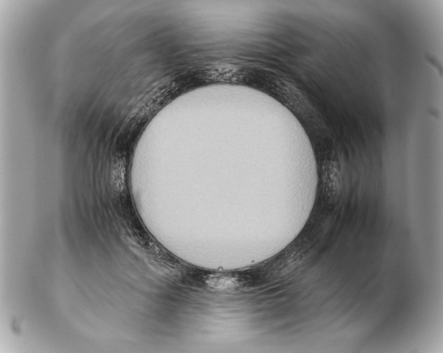 X0000102470602200808291606