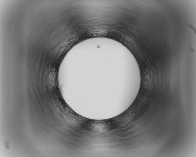 X0000102470604200808291606