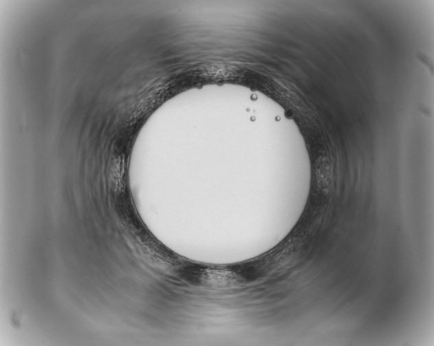 X0000102470605200808291606