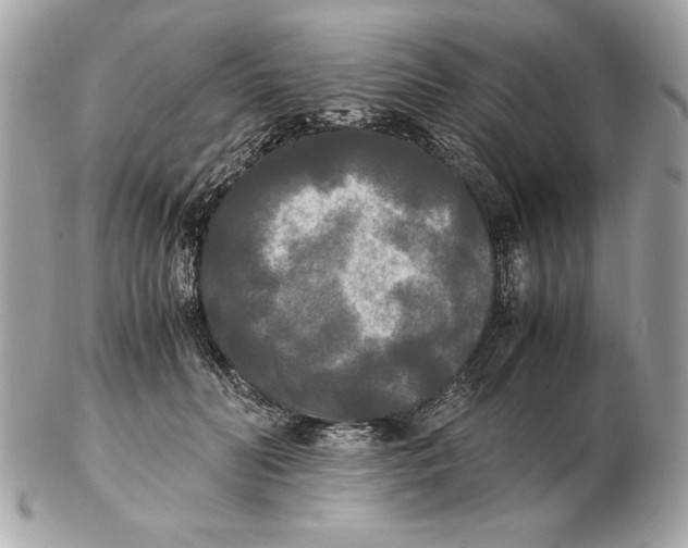 X0000102470606200808291606