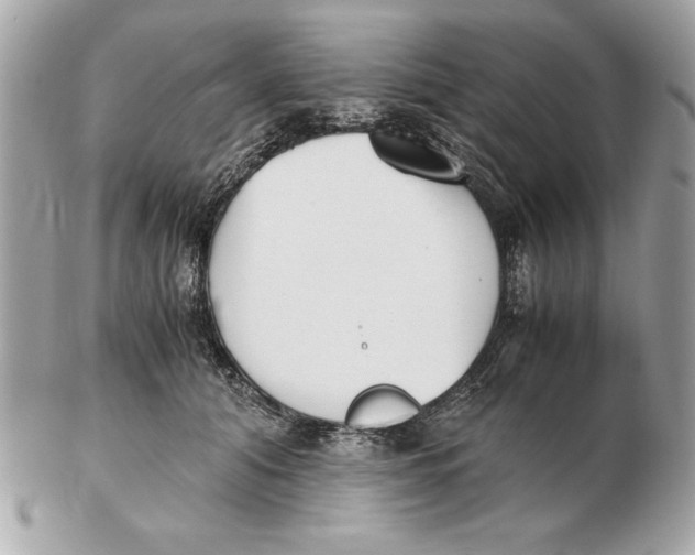 X0000102470608200808291606