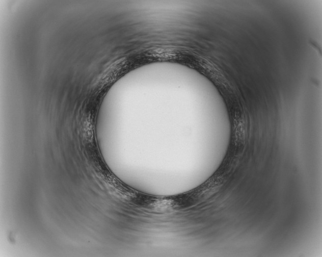 X0000102470609200808291606