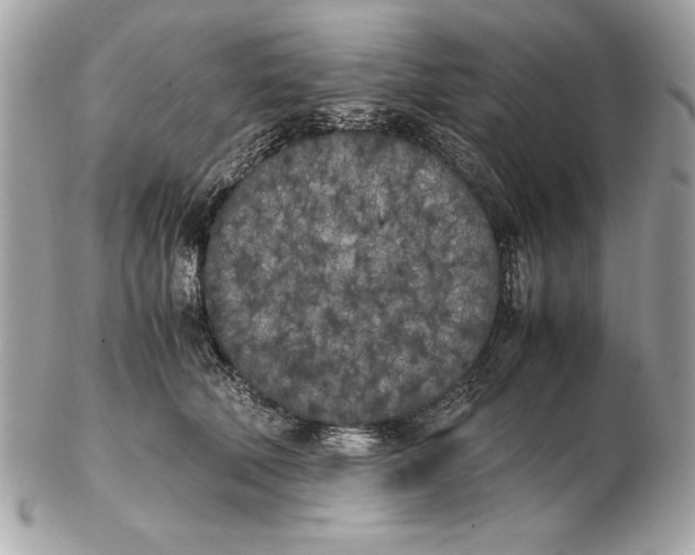X0000102470610200808291606