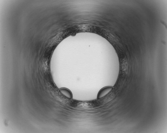 X0000102470611200808291606