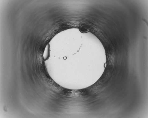 X0000102470612200808291606