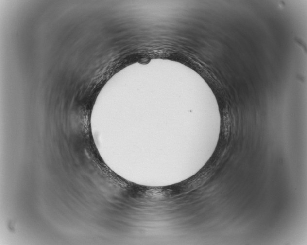 X0000102470613200808291606