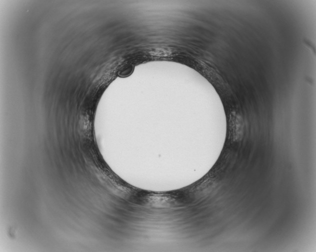 X0000102470614200808291606