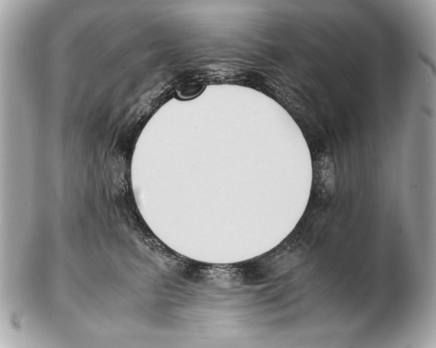 X0000102470615200808291606
