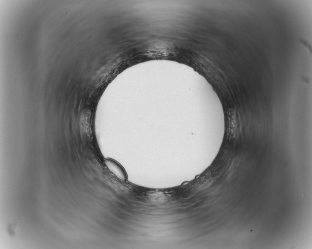 X0000102470616200808291606
