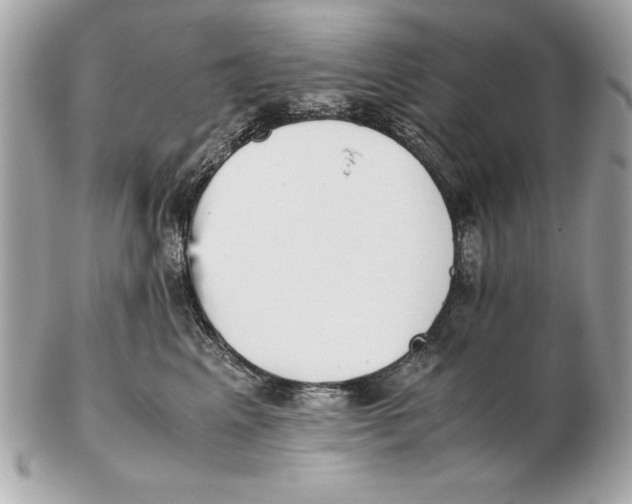 X0000102470617200808291606