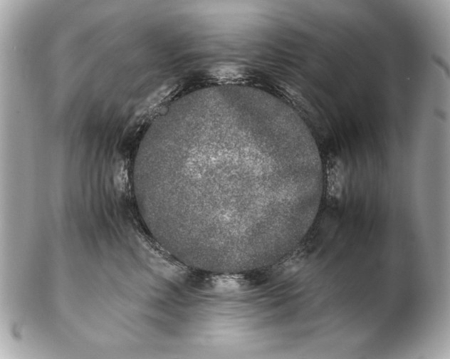 X0000102470618200808291606