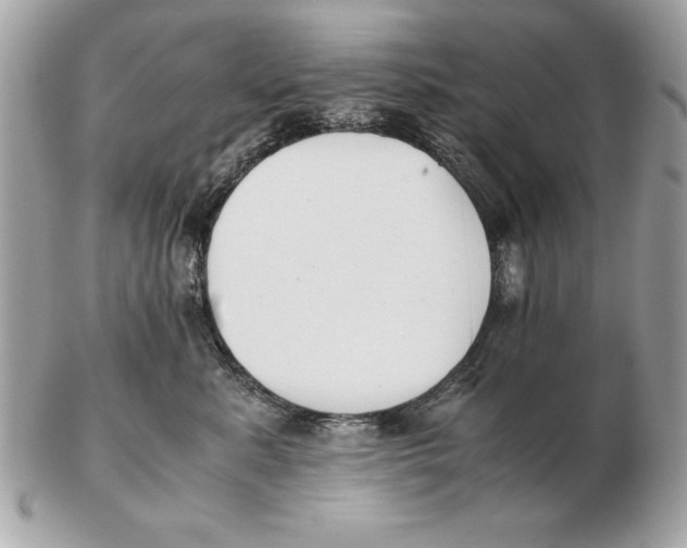 X0000102470619200808291606