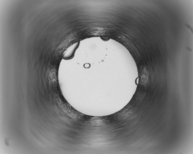 X0000102470620200808291606