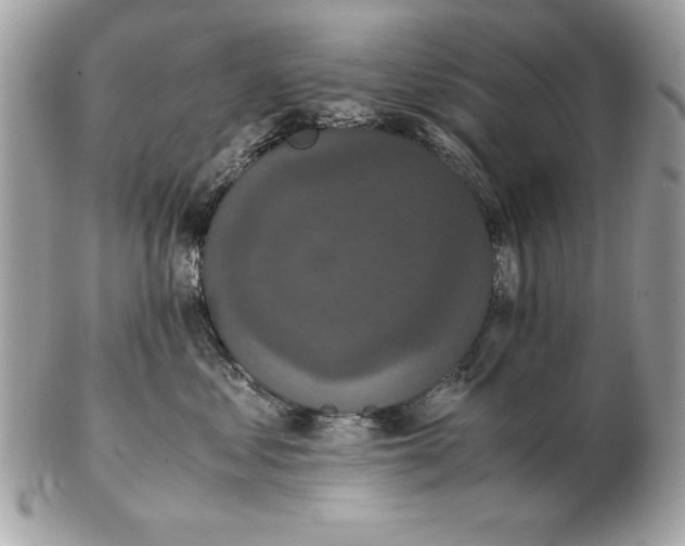 X0000102470621200808291606