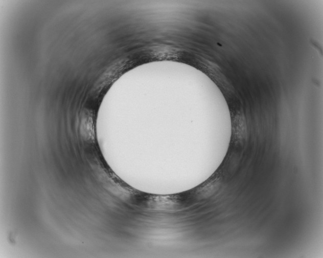 X0000102470622200808291606
