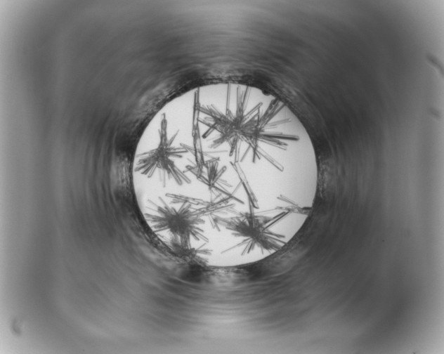 X0000102470623200808291606