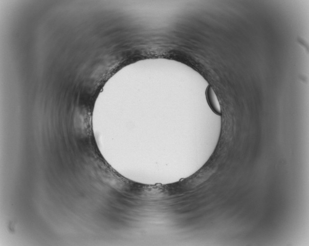 X0000102470624200808291606