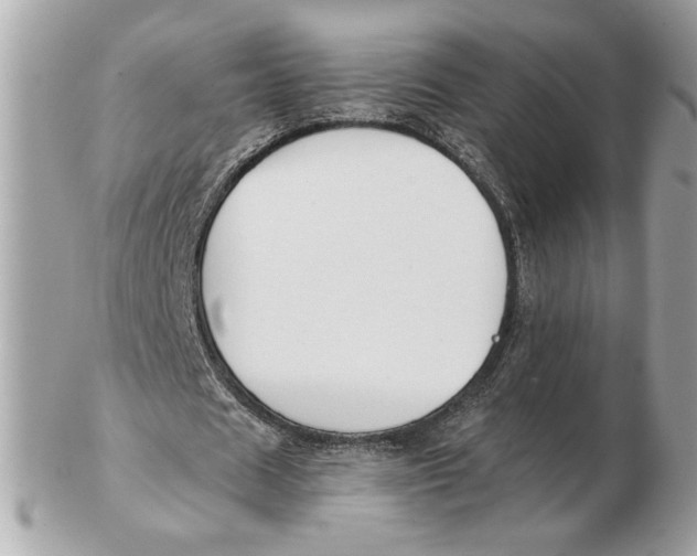 X0000102470625200808291605