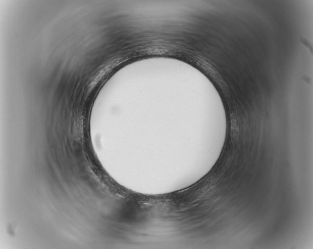 X0000102470626200808291605