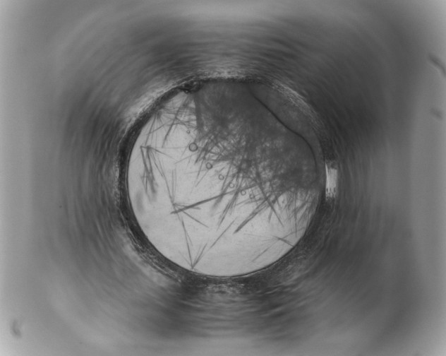 X0000102470627200808291605