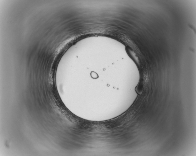 X0000102470628200808291605