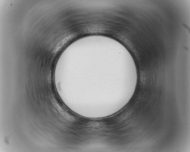X0000102470629200808291605