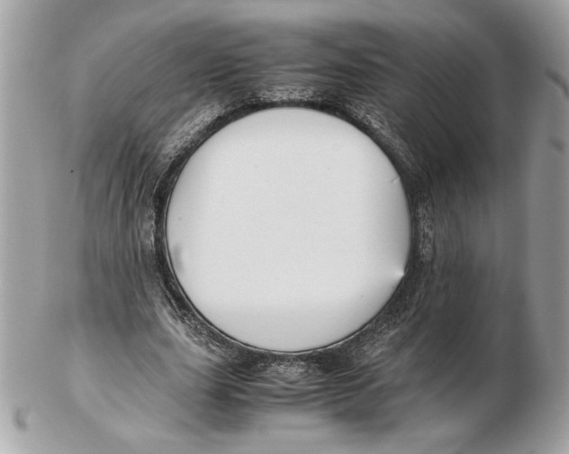 X0000102470631200808291605