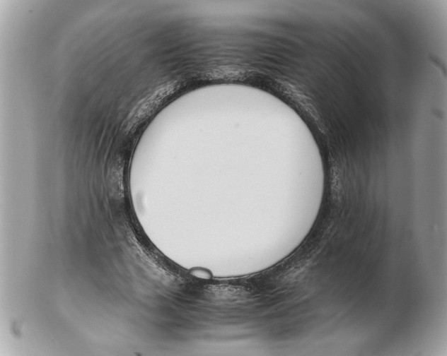 X0000102470633200808291605