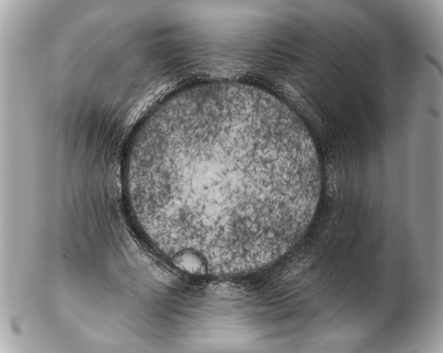 X0000102470634200808291605