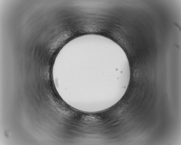 X0000102470635200808291605