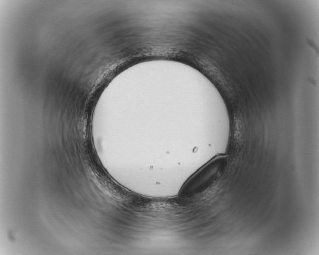 X0000102470636200808291605