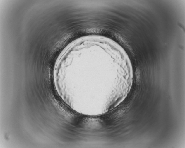 X0000102470637200808291605