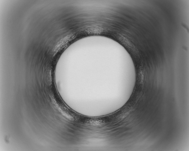 X0000102470638200808291605