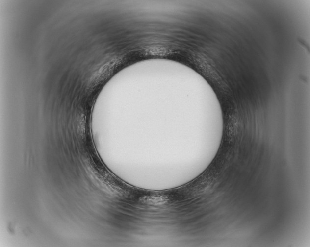 X0000102470639200808291605