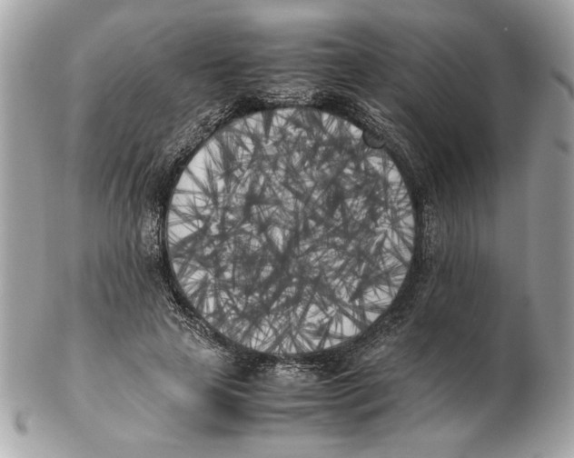 X0000102470641200808291605