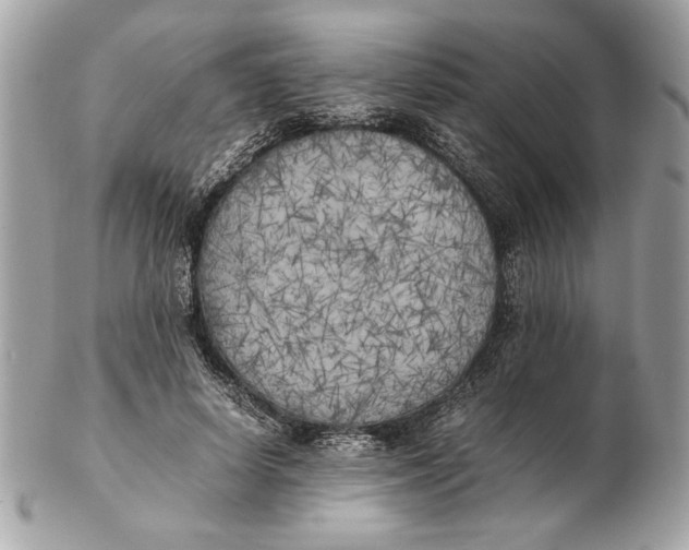 X0000102470642200808291605