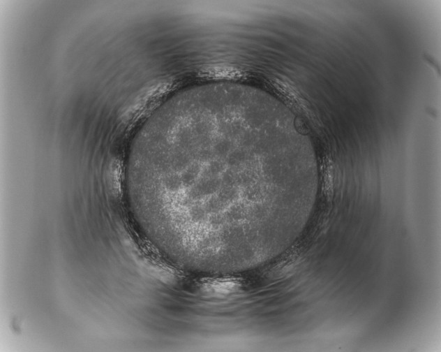 X0000102470643200808291605