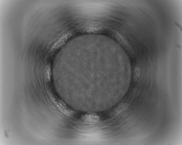X0000102470644200808291605