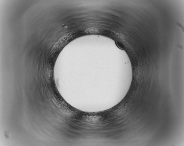 X0000102470645200808291605