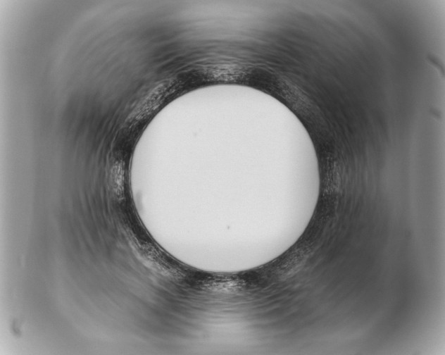 X0000102470646200808291605