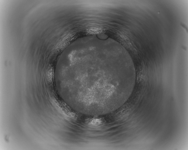 X0000102470647200808291605