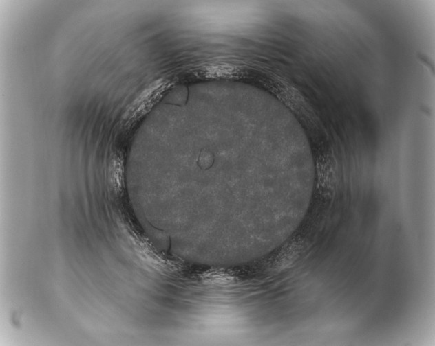 X0000102470648200808291605