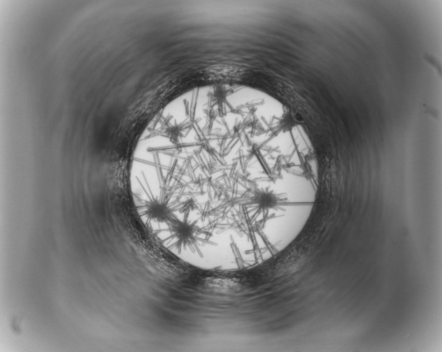 X0000102470649200808291605