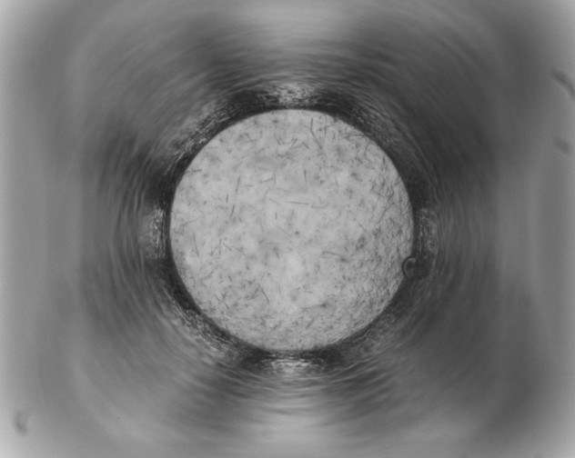 X0000102470650200808291605