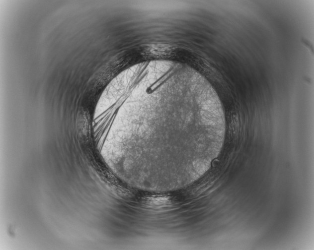 X0000102470651200808291605