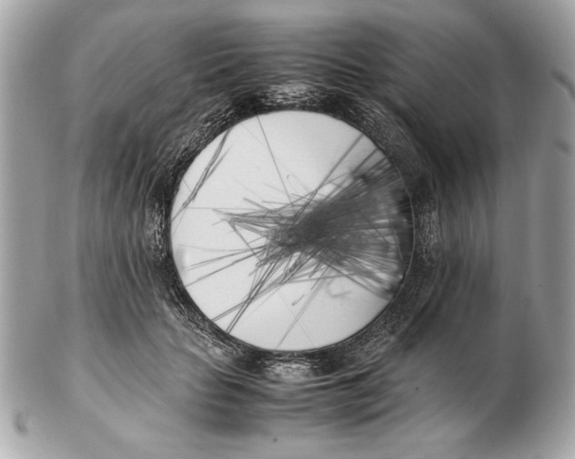 X0000102470653200808291605